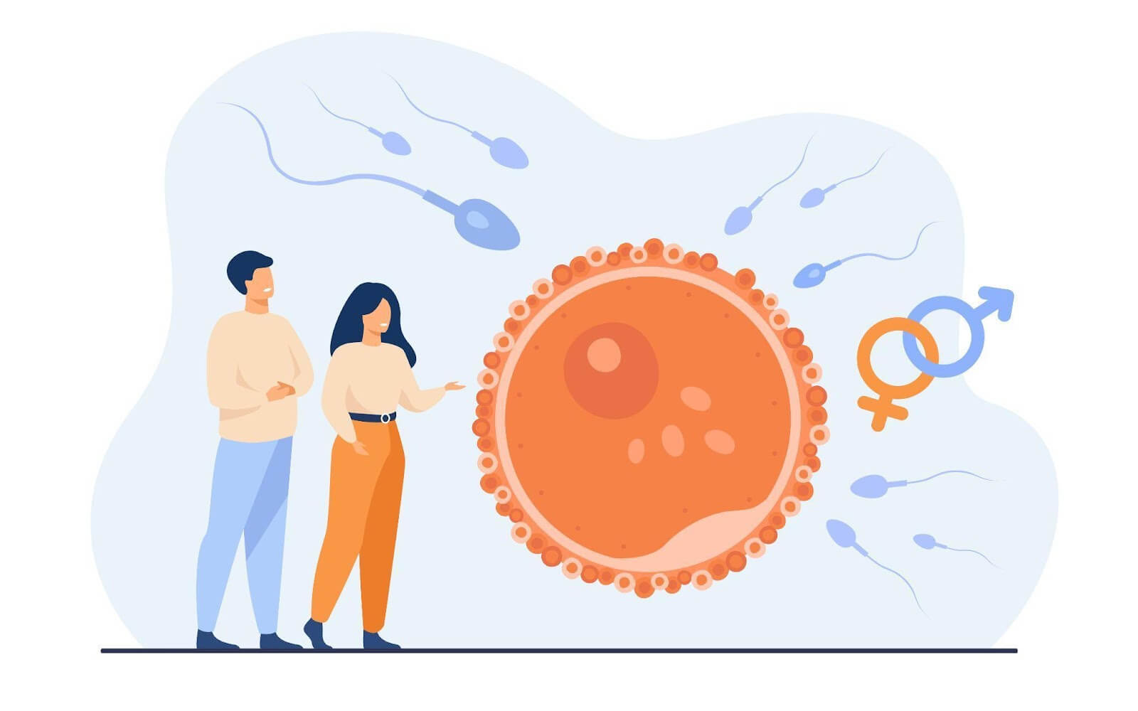 Ilustração de óvulo e espermatozoides. Clínica de fertilidade.